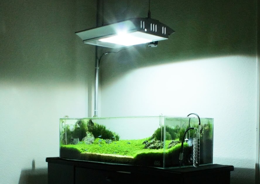 Металлогалогенная лампа для растений